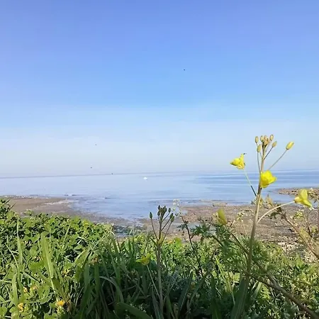 Hébergement de vacances Soleil D'opale Et Son Grand Jardin